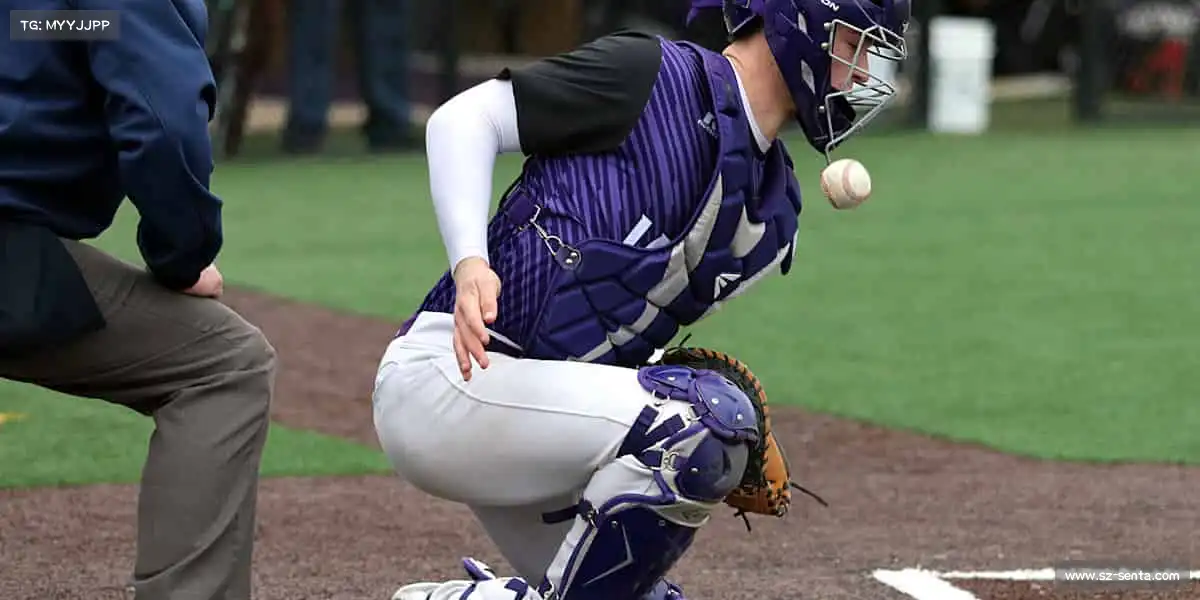 行业领先的理由